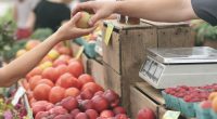 On-chain private credit markets - HourlyMail24