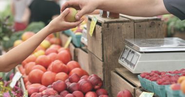 On-chain private credit markets - HourlyMail24