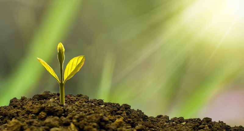 how to build a strong financial future - HourlyMail24