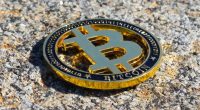best crypto for beginners - HourlyMail24