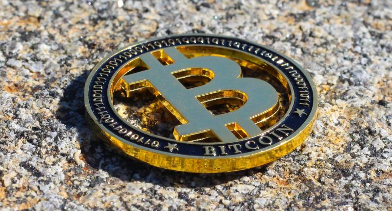 best crypto for beginners - HourlyMail24