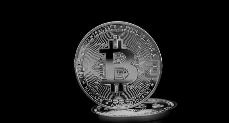best crypto portfolio strategy - HourlyMail24