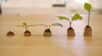 best seo tools for website growth 2026 - HourlyMail24