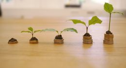 best seo tools for website growth 2026 - HourlyMail24