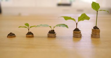 best seo tools for website growth 2026 - HourlyMail24