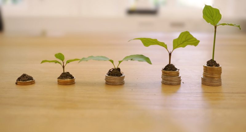 best seo tools for website growth 2026 - HourlyMail24